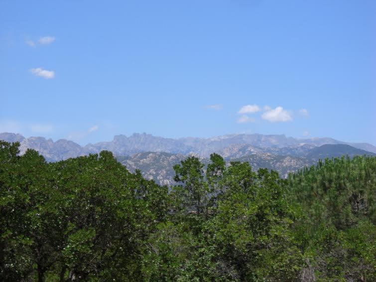 Camping California Pinarellu  Exterior photo